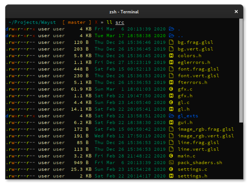 wayst terminal showing output of ls command